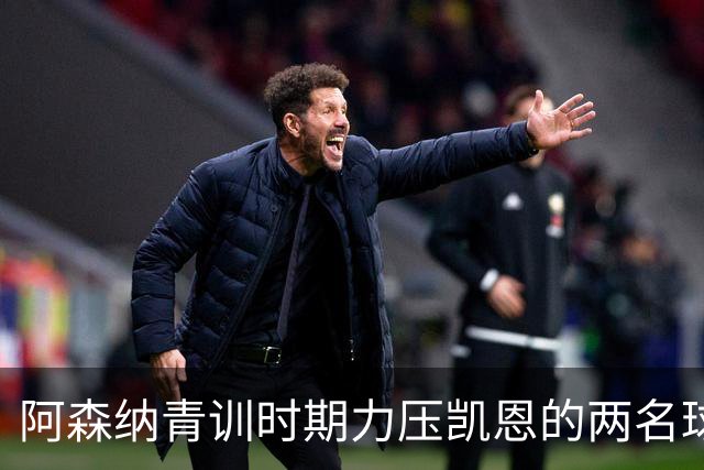 阿森纳青训时期力压凯恩的两名球员，其中一人已退役